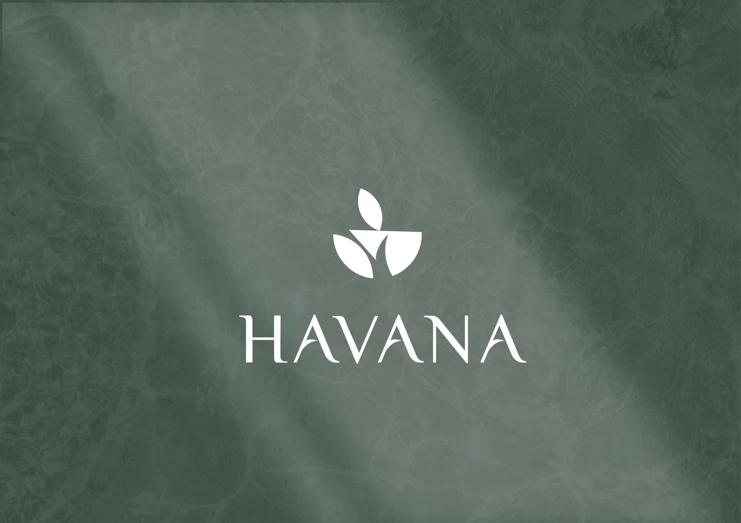 Havana purpose 01 scaled